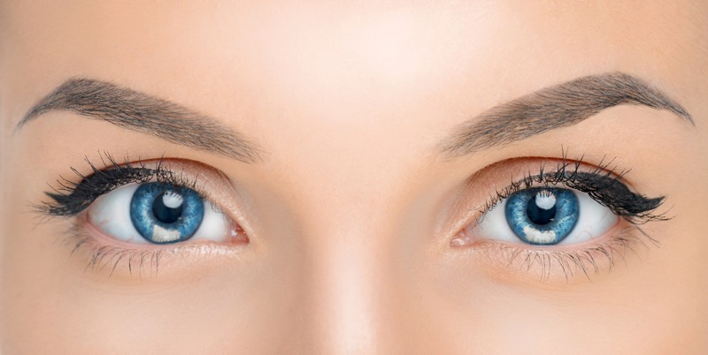 Wimpernlifting Ergebnis Nahaufnahme gepflegter Augen mit betonten Wimpern als Ergebnis eines Wimpernliftings.